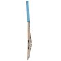 New Balance TC 200i Kashmir Willow Cricket Bat SH