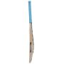 New Balance TC 100i Kashmir Willow Cricket Bat SH