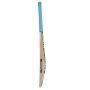 New Balance TC 150i Kashmir Willow Cricket Bat SH