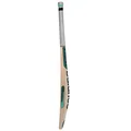 New Balance Burn 500 i English Willow Cricket Bat (Standard Size Short Handle)