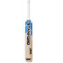 SF SD Opener English Willow Cricket Bat