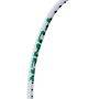 Li Ning AxForce 10 Badminton Racket