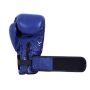 Invincible Extreme Competition Boxing Gloves Approved by IABF