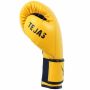 Invincible Tejas Fitness Training Synthetic Leather Boxing Gloves