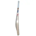 DSC Bull 31 English Willow Cricket Bat 