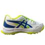 Kuaike Spikes Cricket Shoes Mix Color