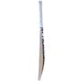 SF Terminator 1 Star Kashmir Willow Cricket Bat SH