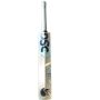DSC Condor Glider English Willow Cricket Bat