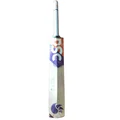 DSC Krunch 2.0 English Willow Cricket Bat