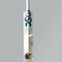 DSC Condor Surge English Willow Cricket Bat