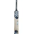 DSC Blak 400 English Willow Cricket Bat
