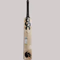 DSC Xlite 5.0 English Willow Cricket Bat