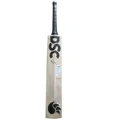 DSC Xlite 4.0 English Willow Cricket Bat