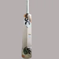 DSC Krunch 1.0 English Willow Cricket Bat