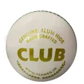 SG Club White Cricket Ball 12 Ball set