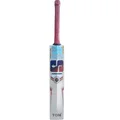 SS Sir Recahrds English Willow Cricket Bat Standard Size