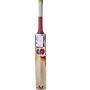 Bas Vampire Bow 20 20 English Willow Cricket Bat Standard Size