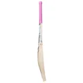 SS Sky BLASTER English Willow Cricket Bat SH