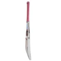 SS Super Select English Willow Cricket Bat (Standard Size Short Handle)