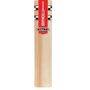 Gray Nicolls GN1 DELTA English Willow SH Cricket Bat