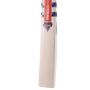 Gray Nicolls GN1 MEGAPOWER English Willow SH Cricket Bat 