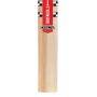 Gray Nicolls Delta GN3 DELTA 3.0 English Willow Cricket Bat Size SH 