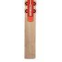 Gray Nicolls Cobra GN4.5 English Willow Cricket Bat Size SH