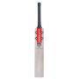 Gray Nicolls Delta Limited Edition 3.0 English Willow Cricket Bat 