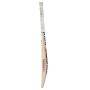 New Balance TC 370 Plus Kashmir Willow Cricket Bat