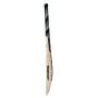 New Balance Burn 470 Kashmir-Willow Cricket Bat
