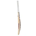 New Balance TC Players Edition English-Willow Cricket Bat (Standard Size Short Handle)