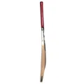 SG KLR SPARK Kashmir Willow Cricket Bat