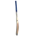 SG HP Pro Kashmir Willow Cricket Bat (Junior Short Handle)
