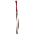 SG RP Spark Kashmir Willow Cricket Bat (Standard Size Short Handle)