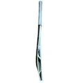 SS Master 100 Kashmir Willow Cricket Bat (Standard Size Short Handle)