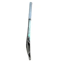 SS Master Kashmir Willow Cricket Bat (Standard Size Short Handle)