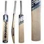 New Balance DC 300i Pro Kashmir Willow Cricket Bat 