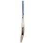 NB TC 300i Pro Kashmir Willow Cricket Bat