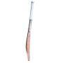 SS TON Players 3000 English Willow Cricket Bat