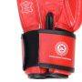 Invincible Agni 2.0 Amateur Competition Boxing Gloves