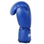 Invincible Amateur Training Boxing Gloves
