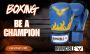 Invincible Agni Amateur Competition Boxing Gloves