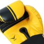 Invincible Tejas Fitness Training Synthetic Leather Boxing Gloves