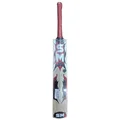 SM Collide Kashmir Willow Cricket Bat Standard Size