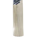 SM Rafter Kashmir Willow Cricket Bat (Standard Size Short Handle)