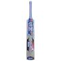 SM Player Kashmir Willow Cricket Bat