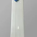 DSC BLU 100 English Willow Cricket Bat (Standard Size Short Handle)