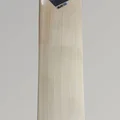 DSC Blak 350 English Willow Cricket Bat