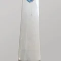 DSC BLAK 300 English Willow Cricket Bat