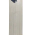 DSC Black 450 English Willow Cricket Bat (Standard Size Short Handle)